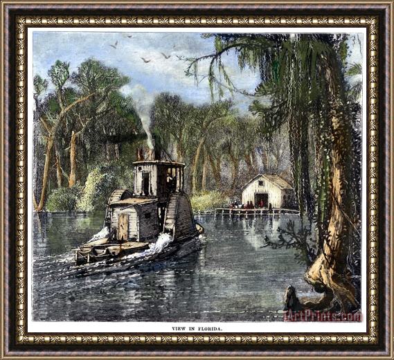 Others Florida: River Life Framed Painting