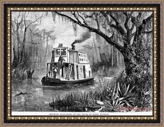 Others Florida: St. Johns River Framed Painting