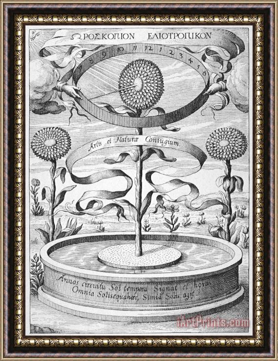 Others Flower Clock, 1643 Framed Print
