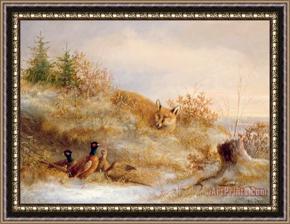 Others Fox and Pheasants in Winter Framed Print