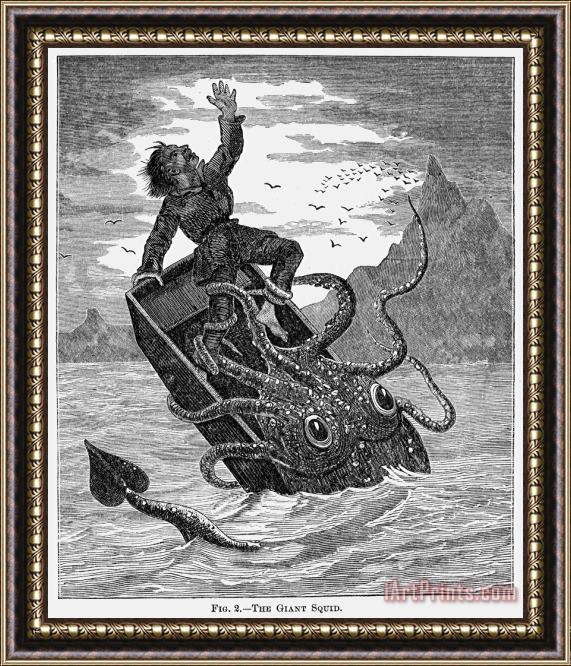 Others Giant Squid, 1879 Framed Painting
