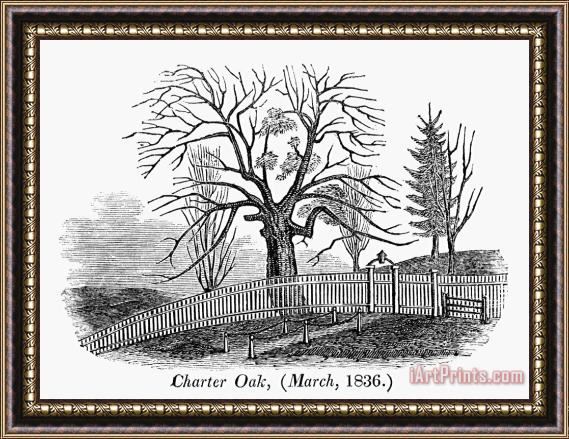Others Hartford: Charter Oak Framed Painting