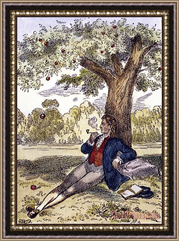 Others Isaac Newton And The Apple Framed Print