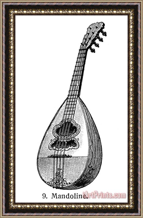Others Mandolin Framed Painting