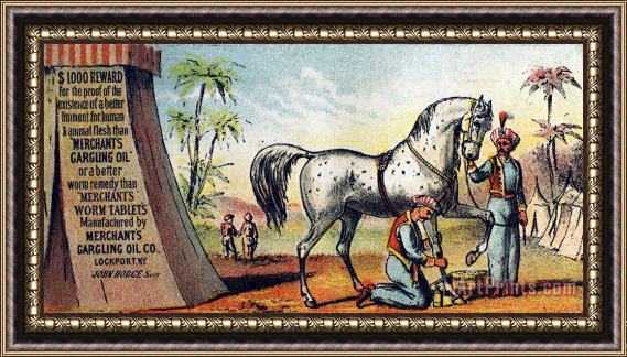 Others MEDICINE TRADE CARD, c1880 Framed Painting