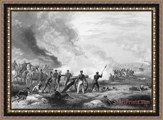 Others Mexican War: Palo Alto Framed Painting