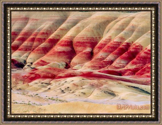 Others Oregon Painted Hills Framed Painting