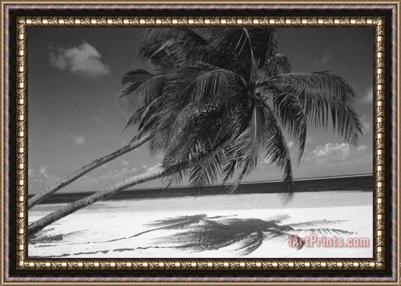 Others Palm tree shadow on sand Framed Painting