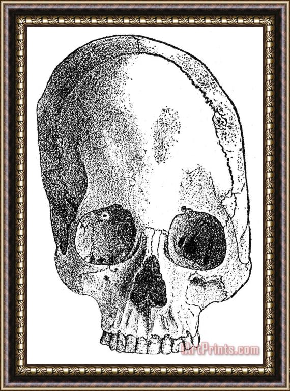 Others Peru: Aymara Skull Framed Print