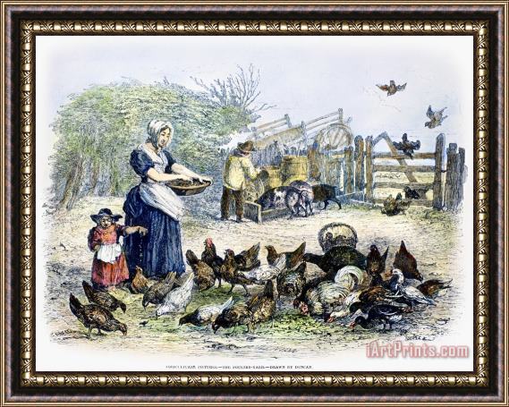 Others Poultry Yard, 1847 Framed Painting