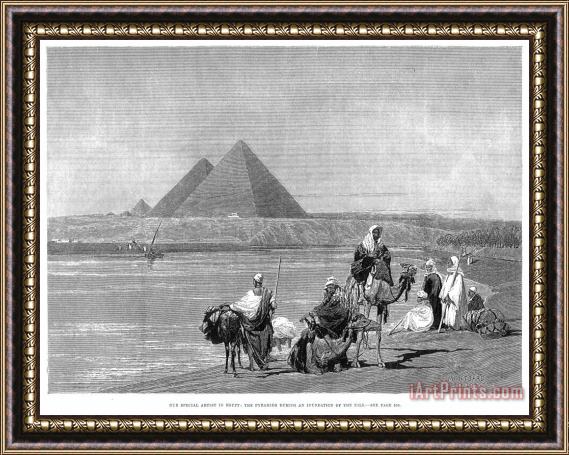 Others Pyramids At Giza, 1882 Framed Print