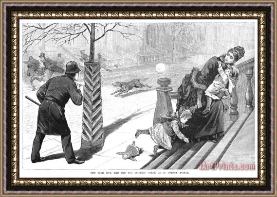 Others Rabies Epidemic, 1886 Framed Print