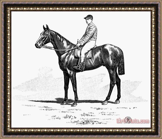 Others Race Horse, 1900 Framed Print