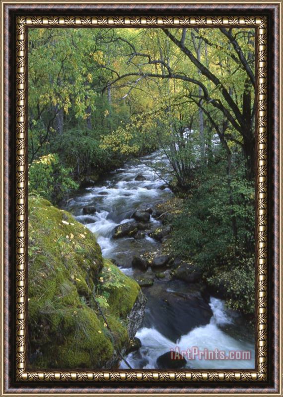 Others Russian Autumn Framed Print