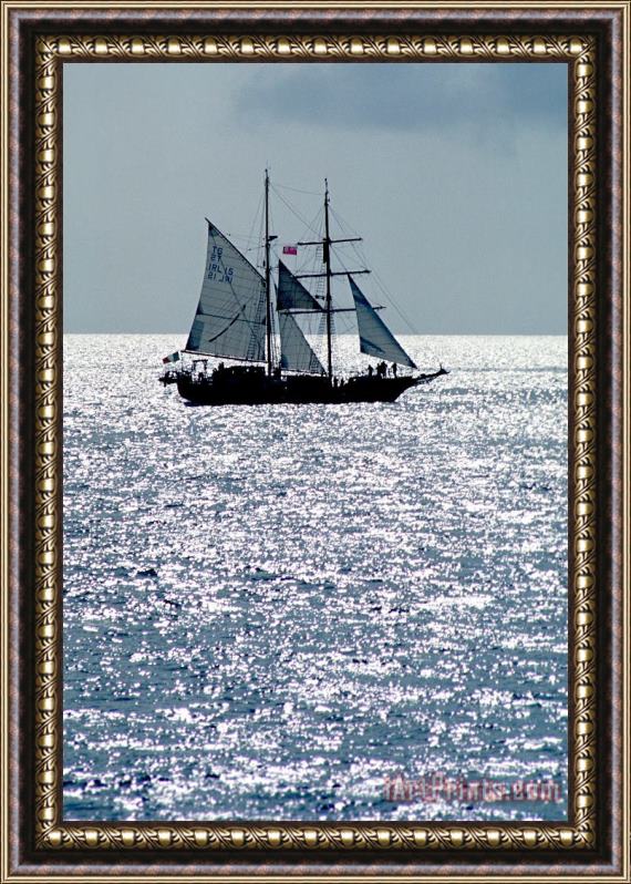 Others Seascape Framed Painting