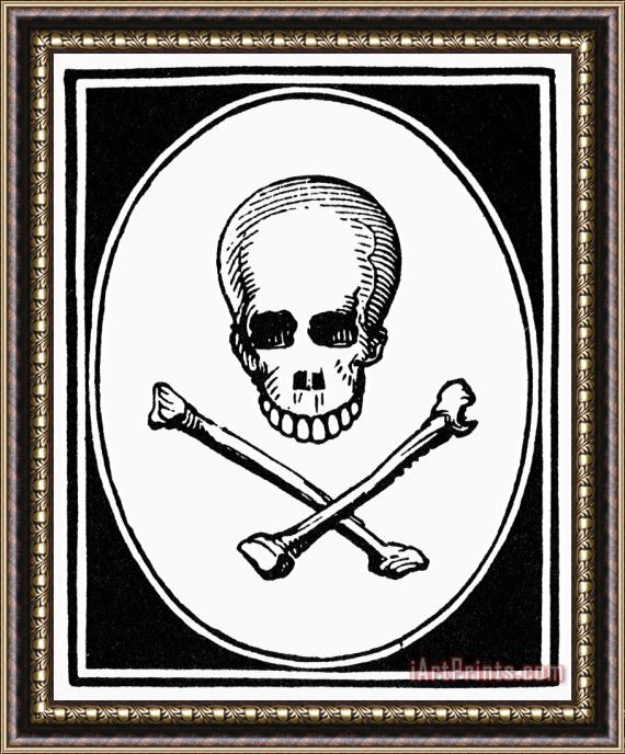 Others Skull And Crossbones Framed Painting