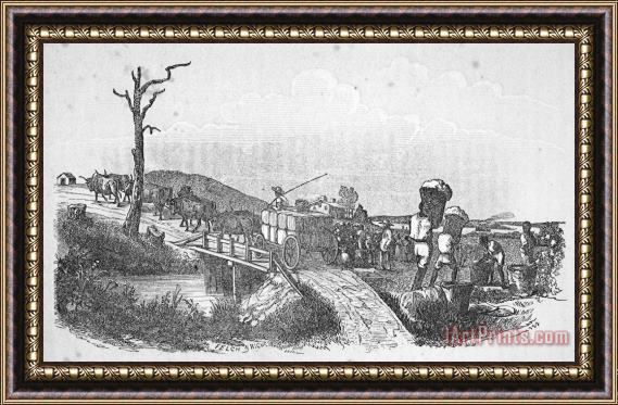 Others South: Cotton Plantation Framed Painting