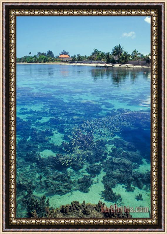 Others Tahiti Papeete Framed Painting