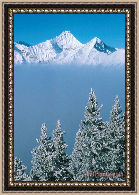 Others Winter Snowscape Mountain And Evergreens Framed Painting