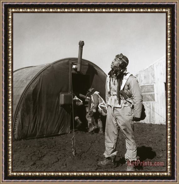 Others Wwii: Tuskegee Airman, 1945 Framed Print