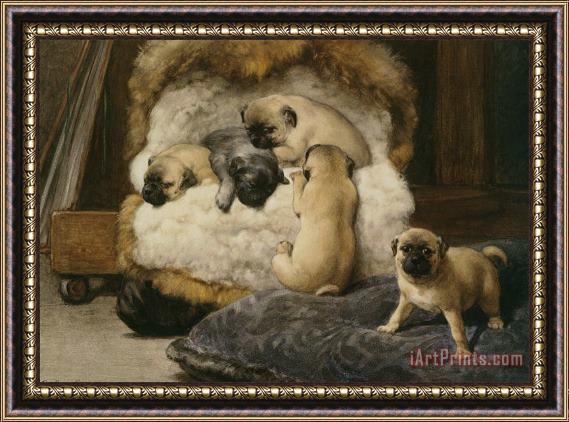 Otto Eerelman Nest Met Jonge Mastiffs Framed Painting