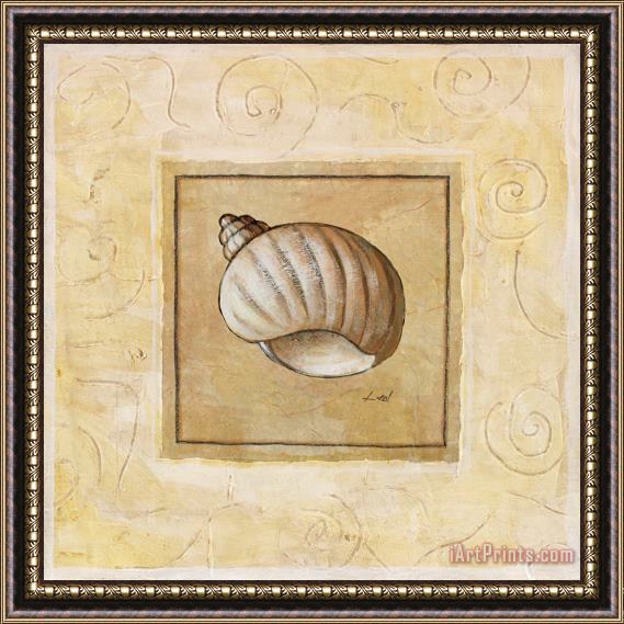 Pablo Esteban Bonnet Shell Framed Painting