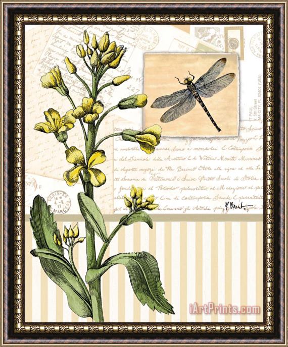 Paul Brent Botanical Collage II Framed Painting