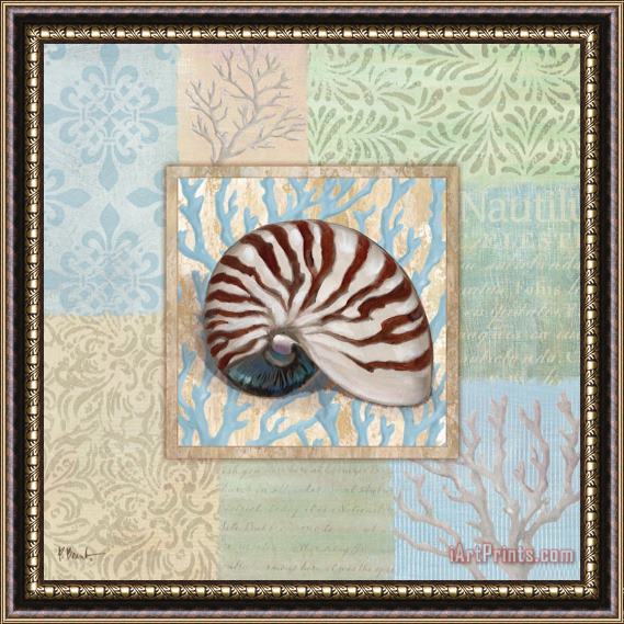 Paul Brent Oceanic Shell Collage III Framed Painting