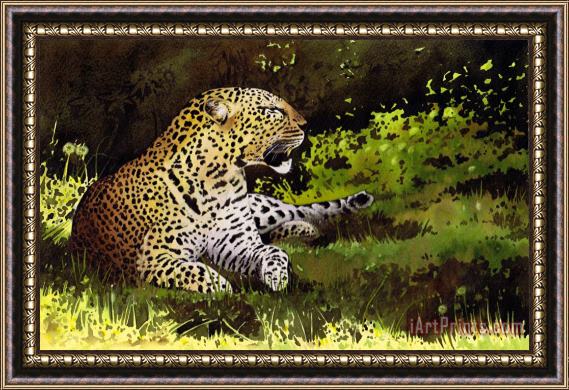 Paul Dene Marlor African Leopard Framed Painting