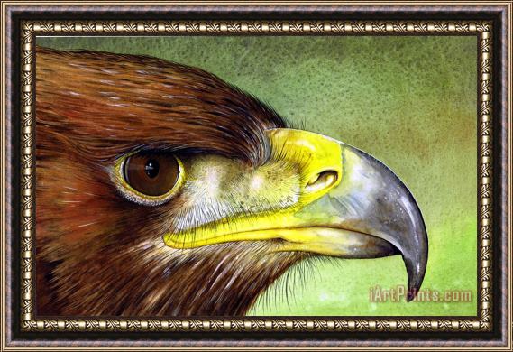 Paul Dene Marlor Golden Eagle Framed Painting