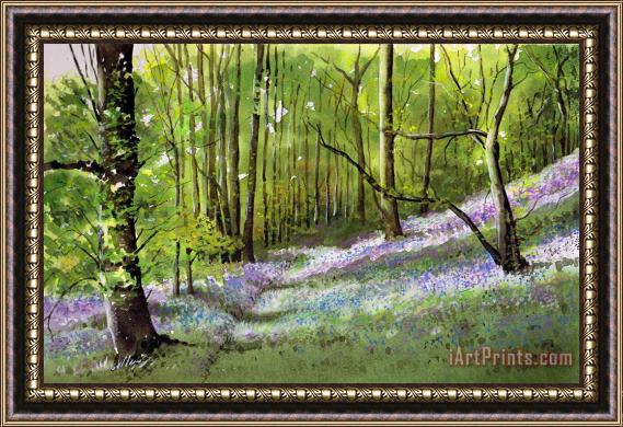 Paul Dene Marlor Path through bluebell wood Framed Painting