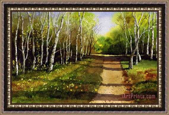 Paul Dene Marlor Path through Silver Birches Framed Painting