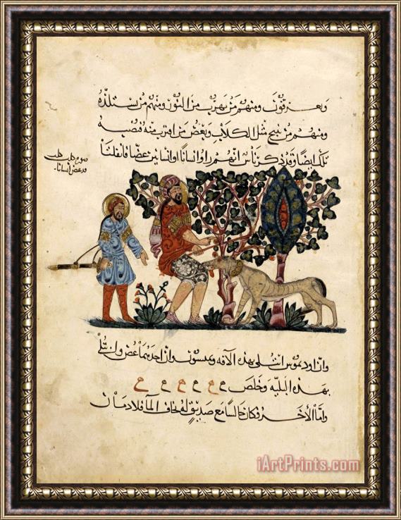 Pedanius Dioscorides Folio From an Arabic Translation of The Materia Medica by Dioscorides Framed Print