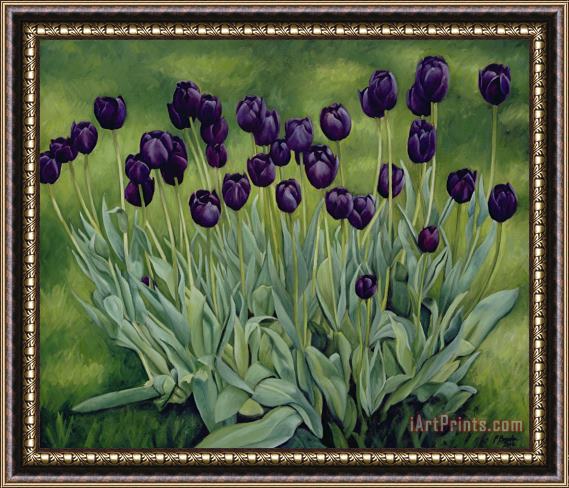 Peter Breeden Black Tulips Framed Painting