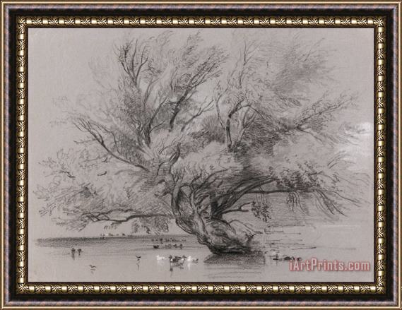 Peter de Wint Pond with Willow Tree And Ducks Framed Painting