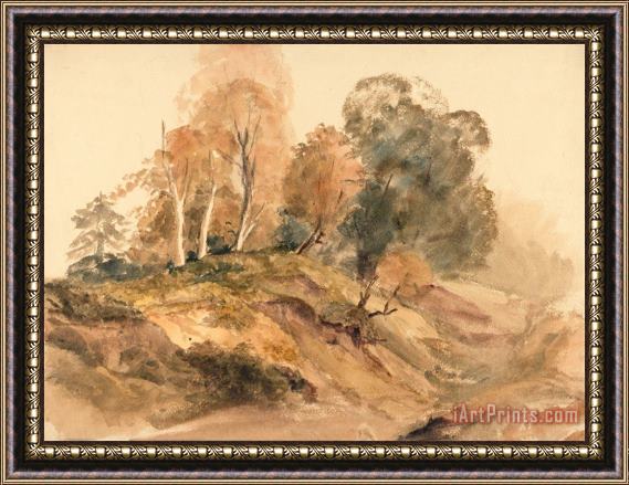 Peter de Wint Trees on a Bank Framed Painting