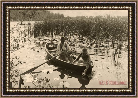 Peter Henry Emerson Gathering Water Lilies Framed Print