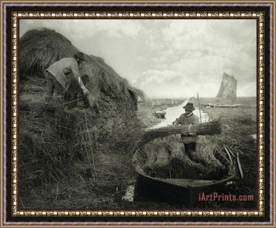 Peter Henry Emerson Ricking The Reed Framed Painting