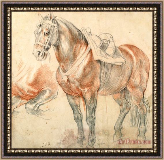Peter Paul Rubens Saddled Horse, C. 1615 1618 Framed Print