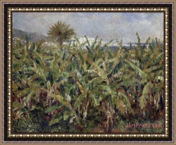 Pierre Auguste Renoir Field of Banana Trees Framed Painting