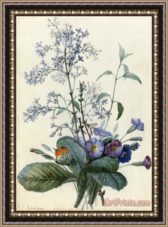 Pierre Joseph Redoute A Bouquet of Flowers with Insects Framed Painting