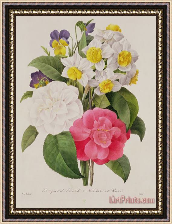 Pierre Joseph Redoute Camellias Narcissus And Pansies Framed Painting