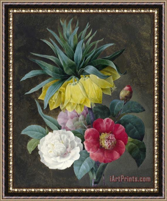 Pierre Joseph Redoute Four Peonies And a Crown Imperial Framed Painting