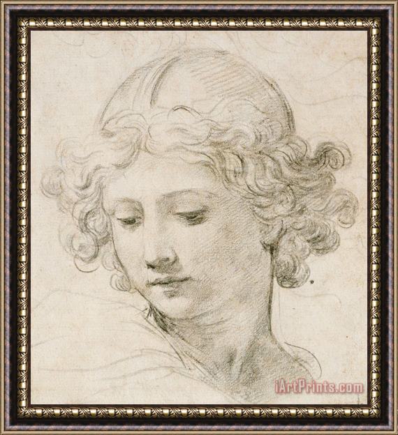 Pietro da Cortona Head Of An Angel Framed Painting