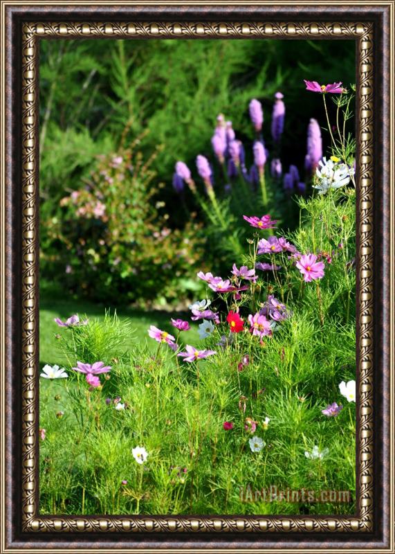 Pol Ledent Garden flowers 2 Framed Print