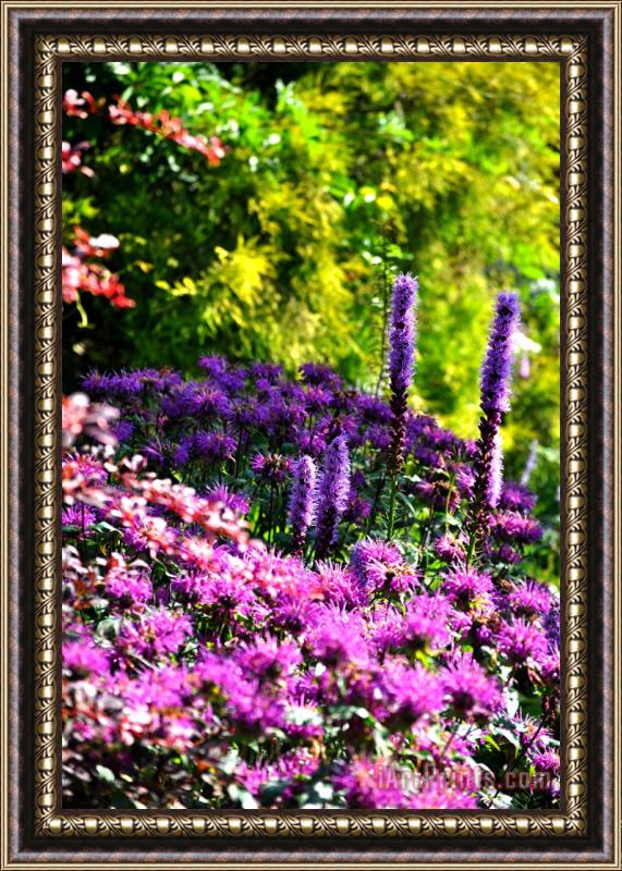 Pol Ledent Garden flowers 3 Framed Print