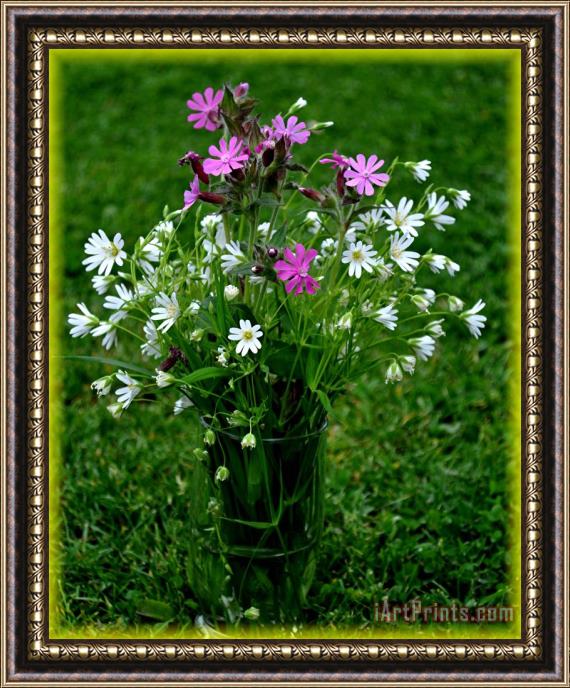 Pol Ledent Wild Flowers Framed Print