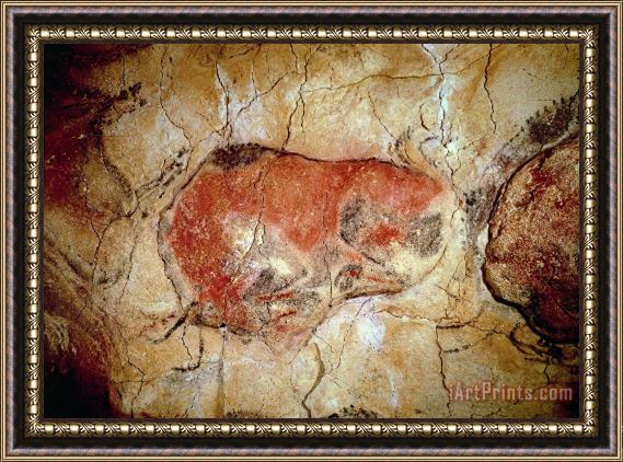 Prehistoric Bison from the Altamira Caves Framed Painting
