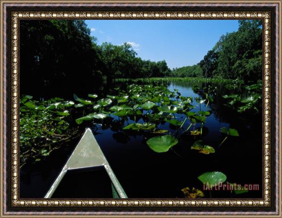 Raymond Gehman A Canoe Floats on a River Filled with Water Lilies Framed Painting