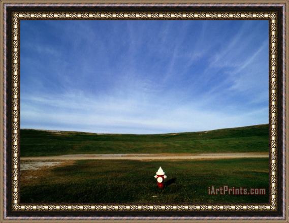 Raymond Gehman A Fire Hydrant in a Green Field Under a Wide Blue Sky Framed Painting